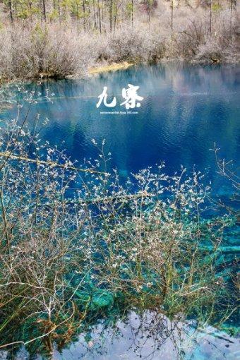 迪马济奥:萨勒尼塔纳今天和博阿滕经纪人会谈,旨在敲定转会