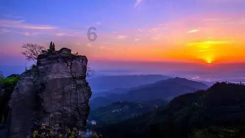 机智问答-D照可以开什么车呢?有问必答