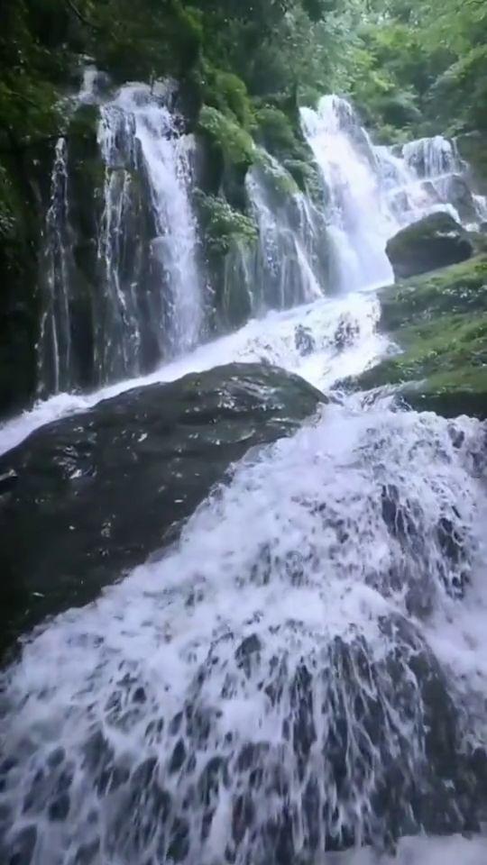 探探猫历险记